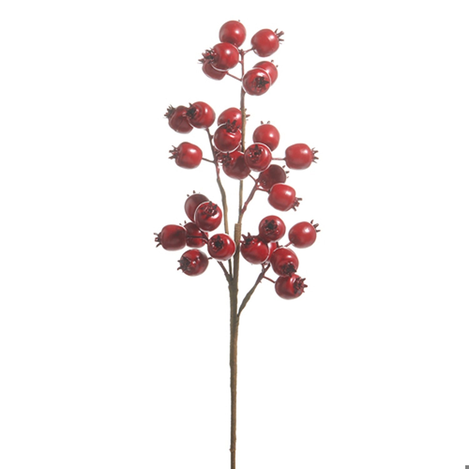 21 Matte Red Berry Pod Spray