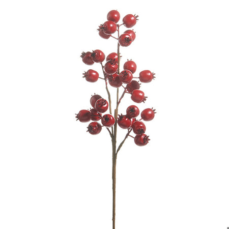 21 Matte Red Berry Pod Spray