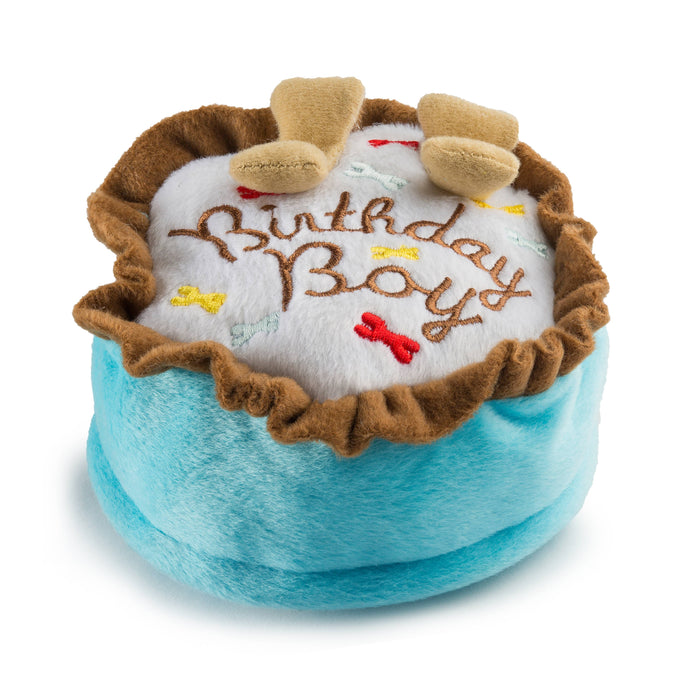 Birthday Boy Toy Squeaker Dog Toy: Large