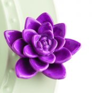 Purple Lotus (A243)