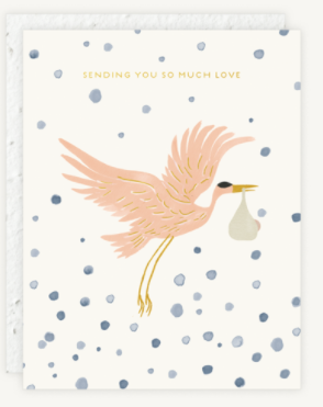 Stork Delivery Card