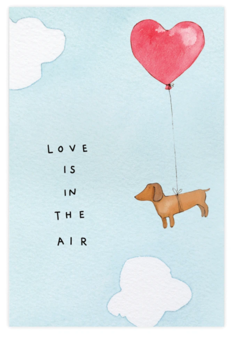 Sky Dog Postcard