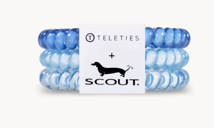 Teleties in Scout Serene Dion