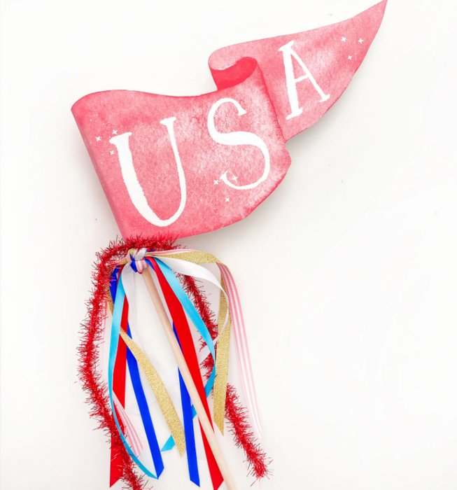 USA Party Pennant
