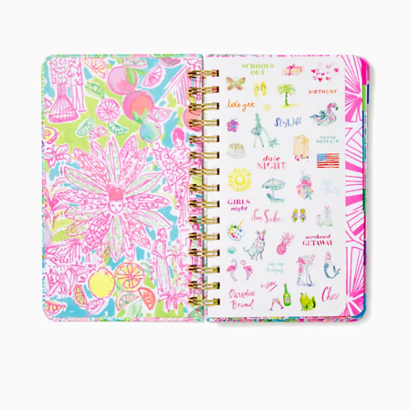 Lilly 17 Month Medium 2021-22 Agenda - Multi Print