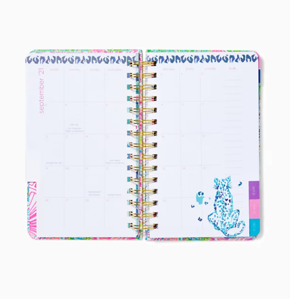 Lilly 17 Month Medium 2021-22 Agenda - Multi Print