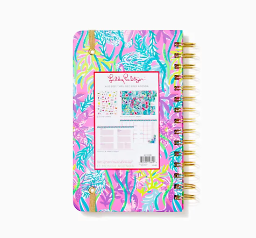 Lilly 17 Month Medium 2021-22 Agenda - Party All the Tide