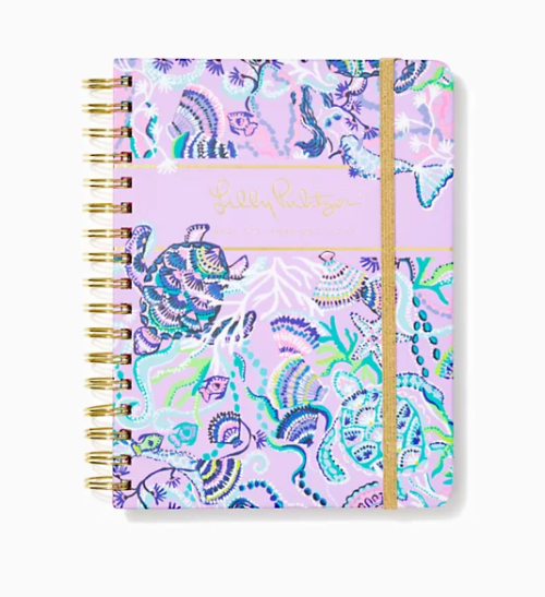 Lilly 17 Month Large 2021-22 Agenda - Mermaid for You