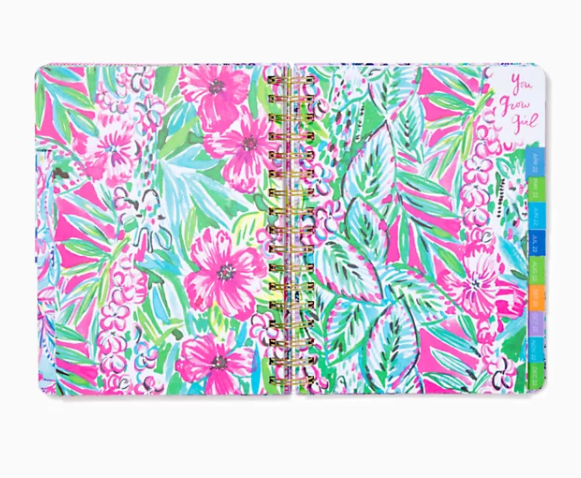 Lilly 17 Month Large 2021-22 Agenda - Mermaid for You