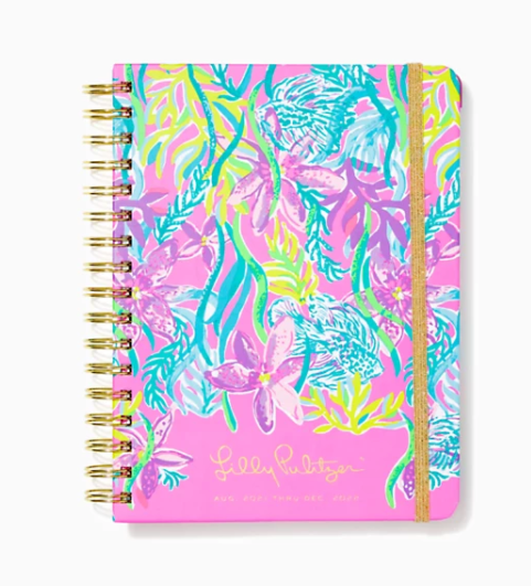 Lilly 17 Month Large 2021-22 Agenda -Party All the Tide