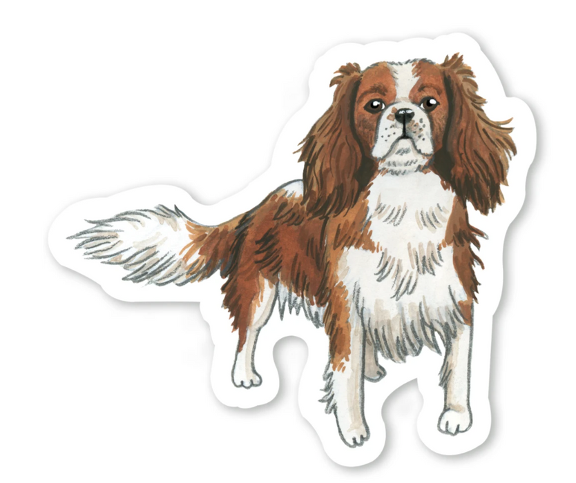 Cavalier King Charles Sticker