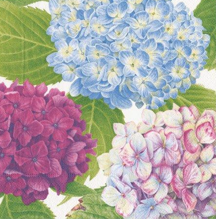 Hydrangea Blue Napkin