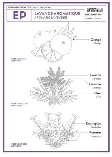 Lavender 1 oz Lotion