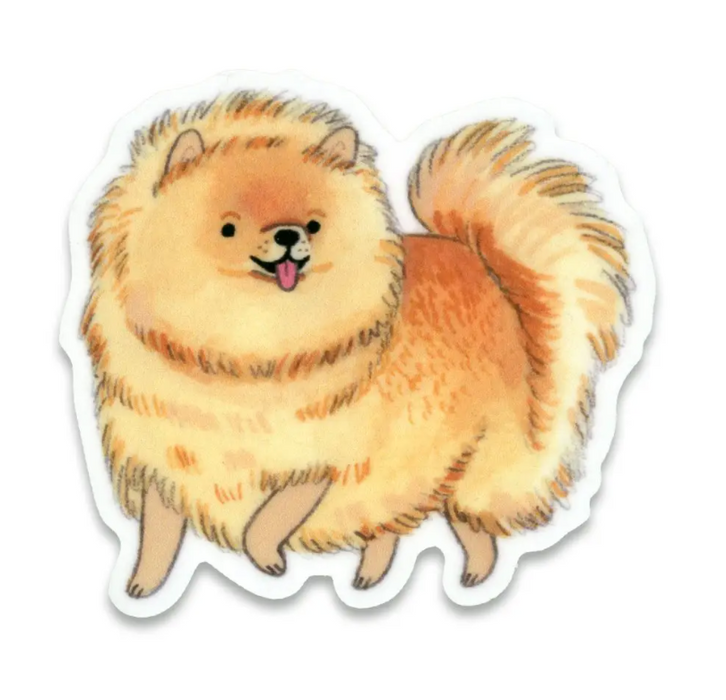 Pomeranian Sticker