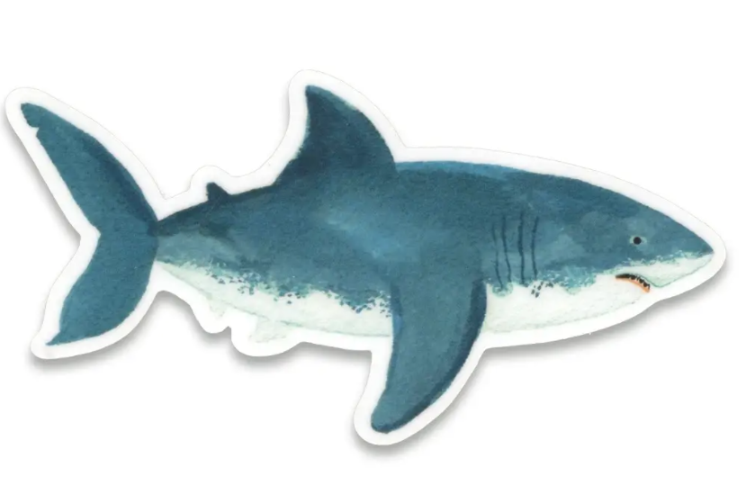 Shark Sticker