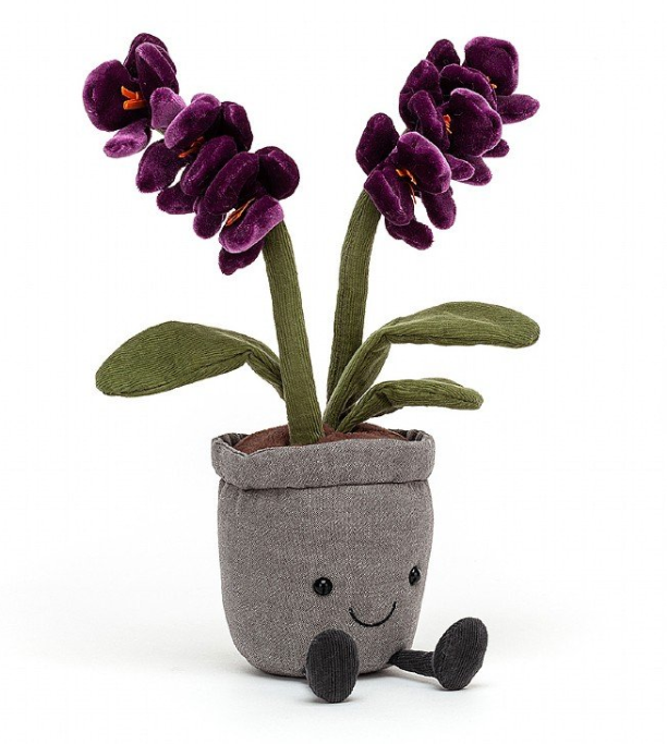 Amuseable Purple Orchid