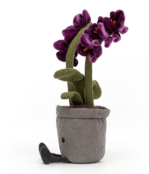 Amuseable Purple Orchid