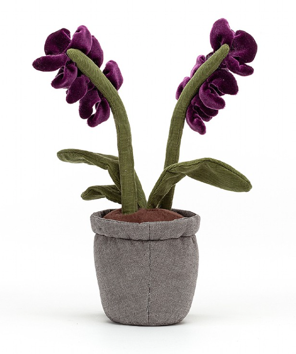 Amuseable Purple Orchid