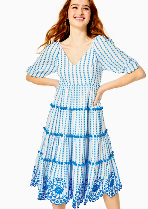 Sidney Midi Dress - Blue Flare Gingham Stripe