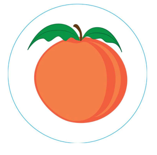 Bogg Bits - Peach