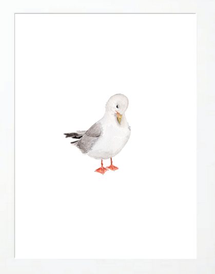 Seagull 1 Art Print