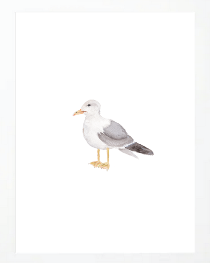 Seagull 2 Art Print