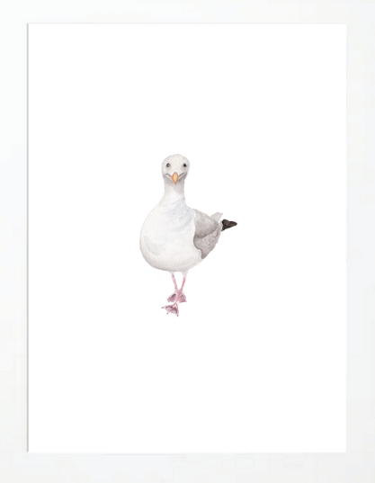 Seagull 3 Art Print