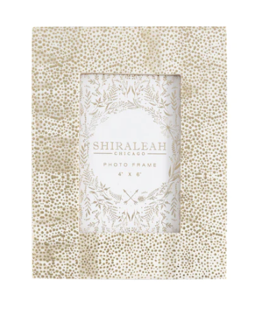 Gold Speckled 4x6 Frame
