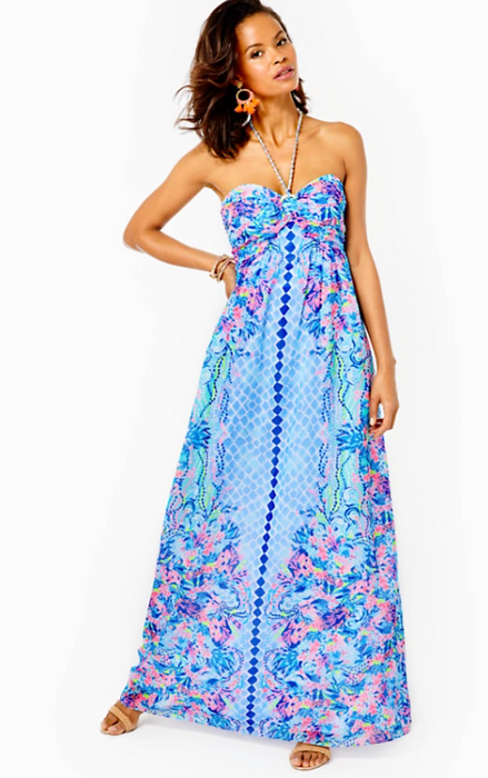 Viv Maxi Dress | Hidden Treasure