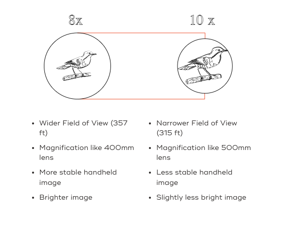 Waterproof Binoculars | Gray