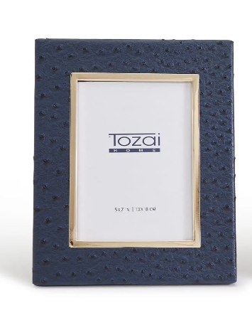 Navy Ostrich Frame | 4x6