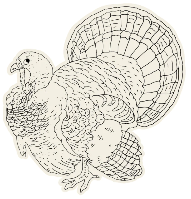 Die Cut Coloring Turkey Placemat