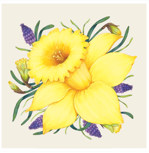 Daffodil Cocktail Napkin