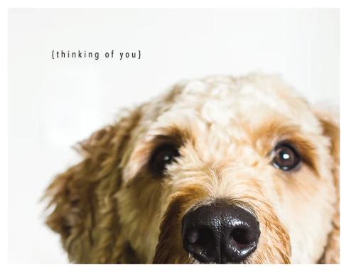 Thoughtful Dog Card